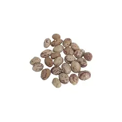 لوبیا چیتی ایرانی ناتس کالا (2500 گرم )