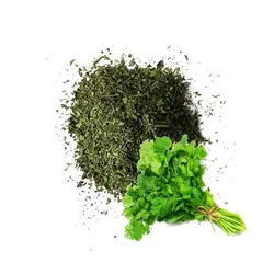 سبزی گشنیز خشک کرنلو ( 500 گرم)