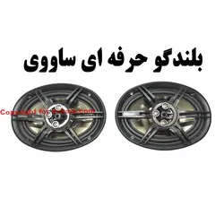 بلندگو بیضی خودرو برند ساووی مدل SV-6901