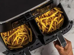 سرخ کن دو قلو نینجا مدل AF300