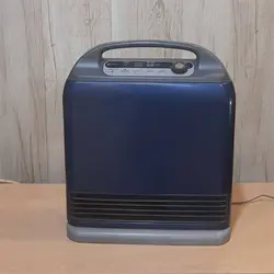 بخاری گازی برقی ژاپنی 2500