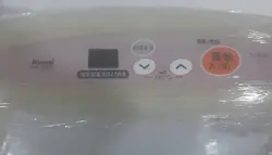 بخاری گازی برقی ژاپنی Rinnai 3500