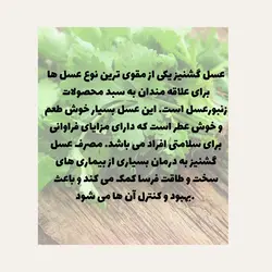 عسل گشنیز نصیر  650 گرمی