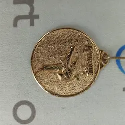 مدال قهرمانی طرح کاراته