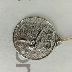 مدال قهرمانی طرح کاراته