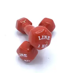 دمبل ایروبیک ۱ کیلویی لاین