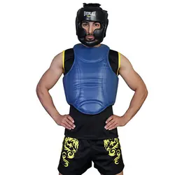 هوگو ووشو حرفه ای