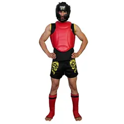 هوگو ووشو حرفه ای