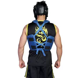 هوگو ووشو حرفه ای