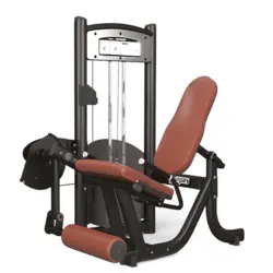 دستگاه جلو ران اینپارس