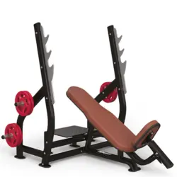 میز پرس بالا سینه اینپارس