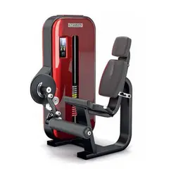 دستگاه جلو ران اینپارس