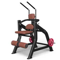 شکم مکانیکی اینپارس