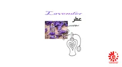 عطر اسطوخودوس Lavander