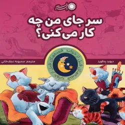 سر جای من چه‌کار می‌کنی؟