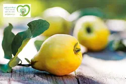 به ارگانیک آبگینه وزن در بسته بندی: متغیر