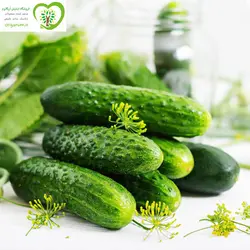 خیار ارگانیک آبگینه گلخانه ای / باز 1 کیلوگرم