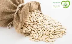 تخمه کدو ارگانیک آبگینه 500گرم