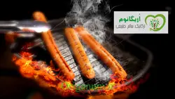 سوسیس هات داگ گیاهی نوپرو 500 گرمی