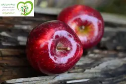 سیب ارگانیک آبگینه( زرد و قرمز و سبز ) 1 کیلوگرم / 800 گرم