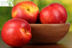 شلیل ارگانیک آبگینه 1 کیلوگرم/ 800 گرم