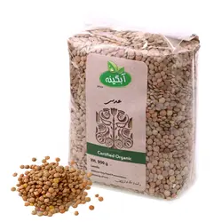عدس ارگانیک آبگینه 900 گرمی
