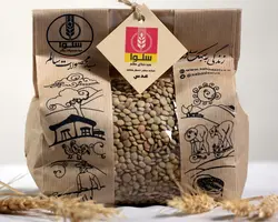 عدس ارگانیک سلوا