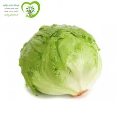 کاهو پیچ ارگانیک آبگینه