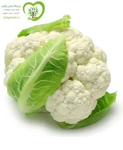 گل کلم ارگانیک آبگینه