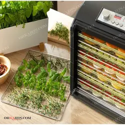 قیمت و خرید میوه خشک کن سنکور مدل Sencor SFD 6601BK