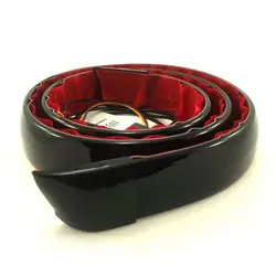 بال عقب چراغ دار خودرو