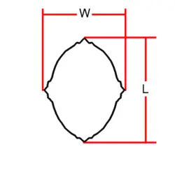 گل تزیینی طرح منبت pvc کد 1069