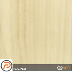 دیوار کوب اس پروفیل P461