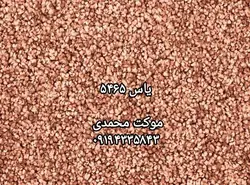 موکت پالاز طرح یاس - موکت محمدی