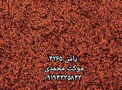 موکت پالاز طرح یاس - موکت محمدی