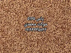 موکت پالاز طرح یاس - موکت محمدی
