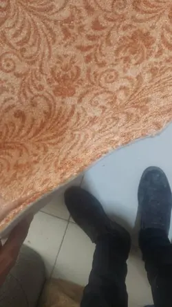 موکت پرز بلند پالاز