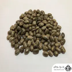 گیاه کرچک هندی (بذر) 50گرمی