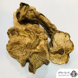 بهمن سرخ (تقویت نیروی جنسی و دفع سنگ کلیه) 50گرمی