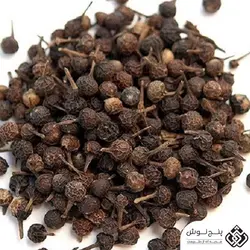 کبابه چینی 50گرمی