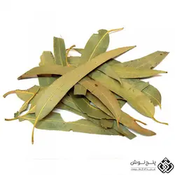 برگ اکالیپتوس (ضد میکروب و تقویت تنفس ) 50گرمی