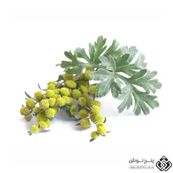 افسنطین رومی / خاراگوش (تصفیه کننده خون) 50گرمی