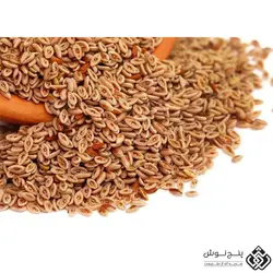 اسفرزه (ملین و نرم کننده شکم) 100گرمی