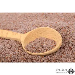 اسفرزه (ملین و نرم کننده شکم) 100گرمی