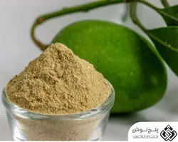 پودر انبه (کاهش چربی پوست) 100گرمی