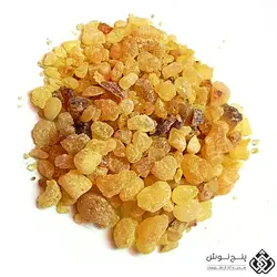 آنغوزه (درمان مشکلات تنفسی و آسم ) 30گرمی