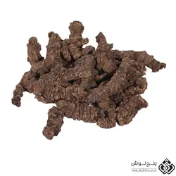 اسارون (درمان سنگ کلیه و قطع قاعدگی) 50گرمی