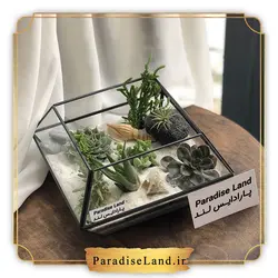 باکس کاکتوس طرح صبا