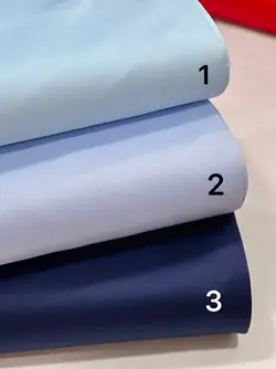 ساتن امریکایی تایوان