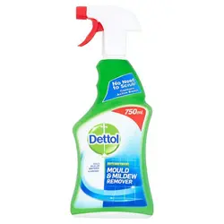 اسپری آنتی باکتریال پاک کننده قارچ و کپک دتول Dettol